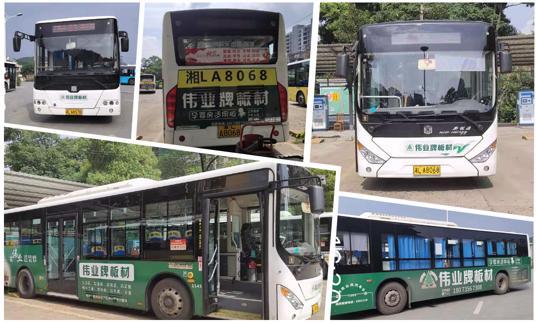 品牌推广强势出击：伟业牌板材公交车身广告登陆郴州
