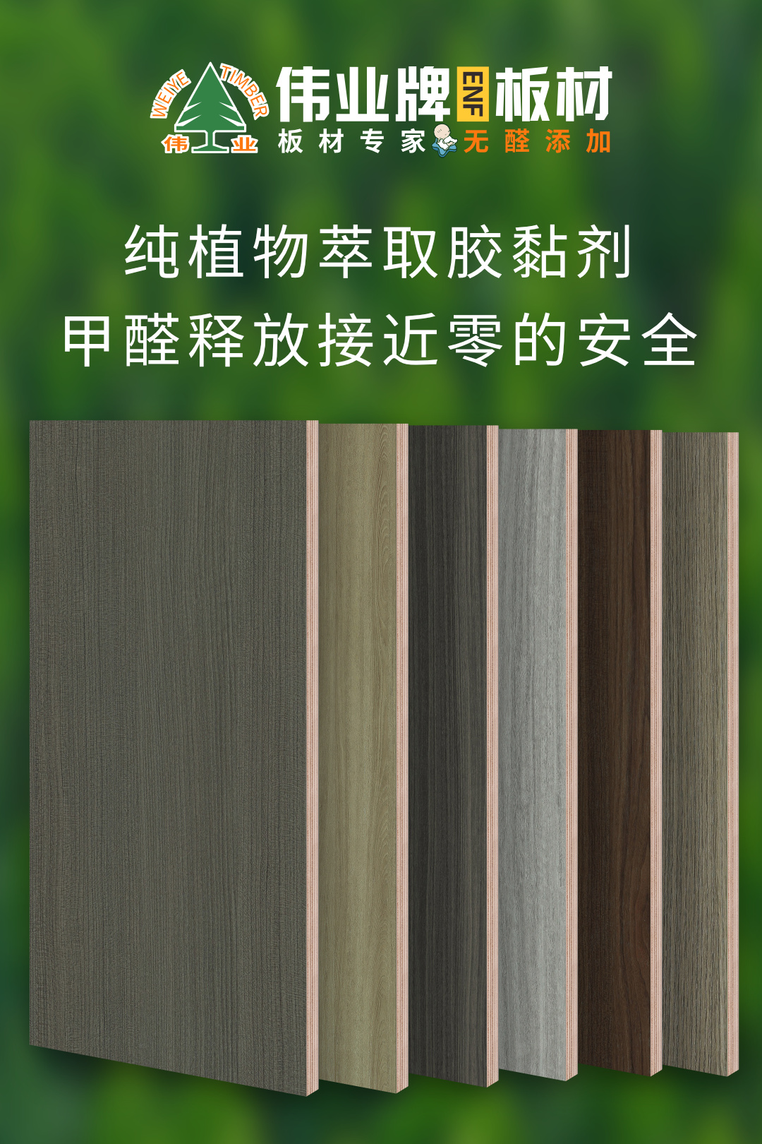画板6.jpg