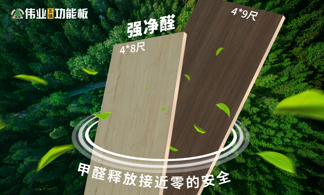 画板6.jpg