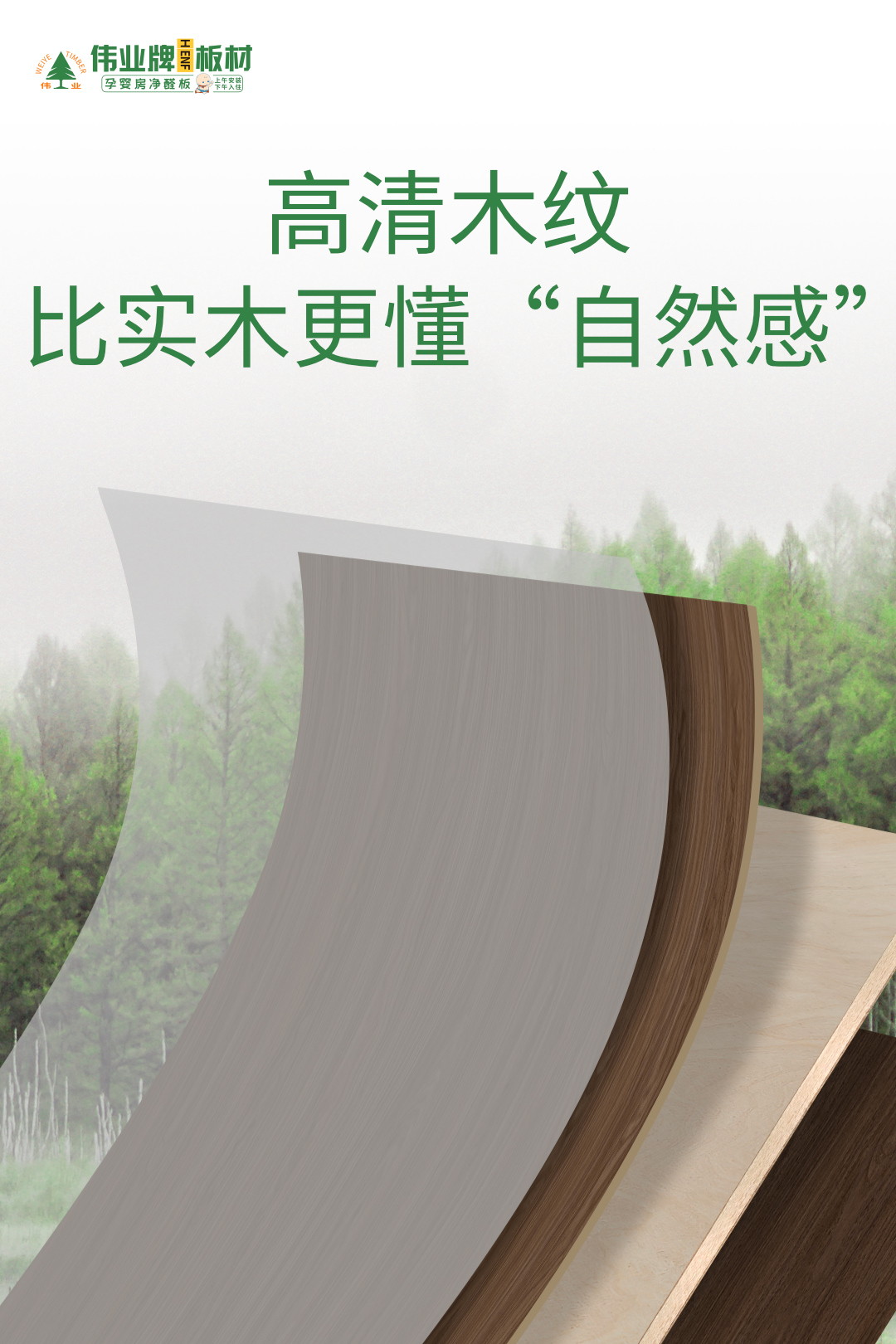 画板2.jpg