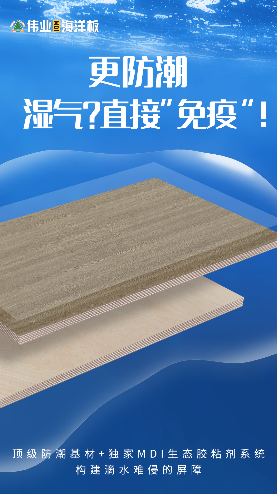 画板2.jpg