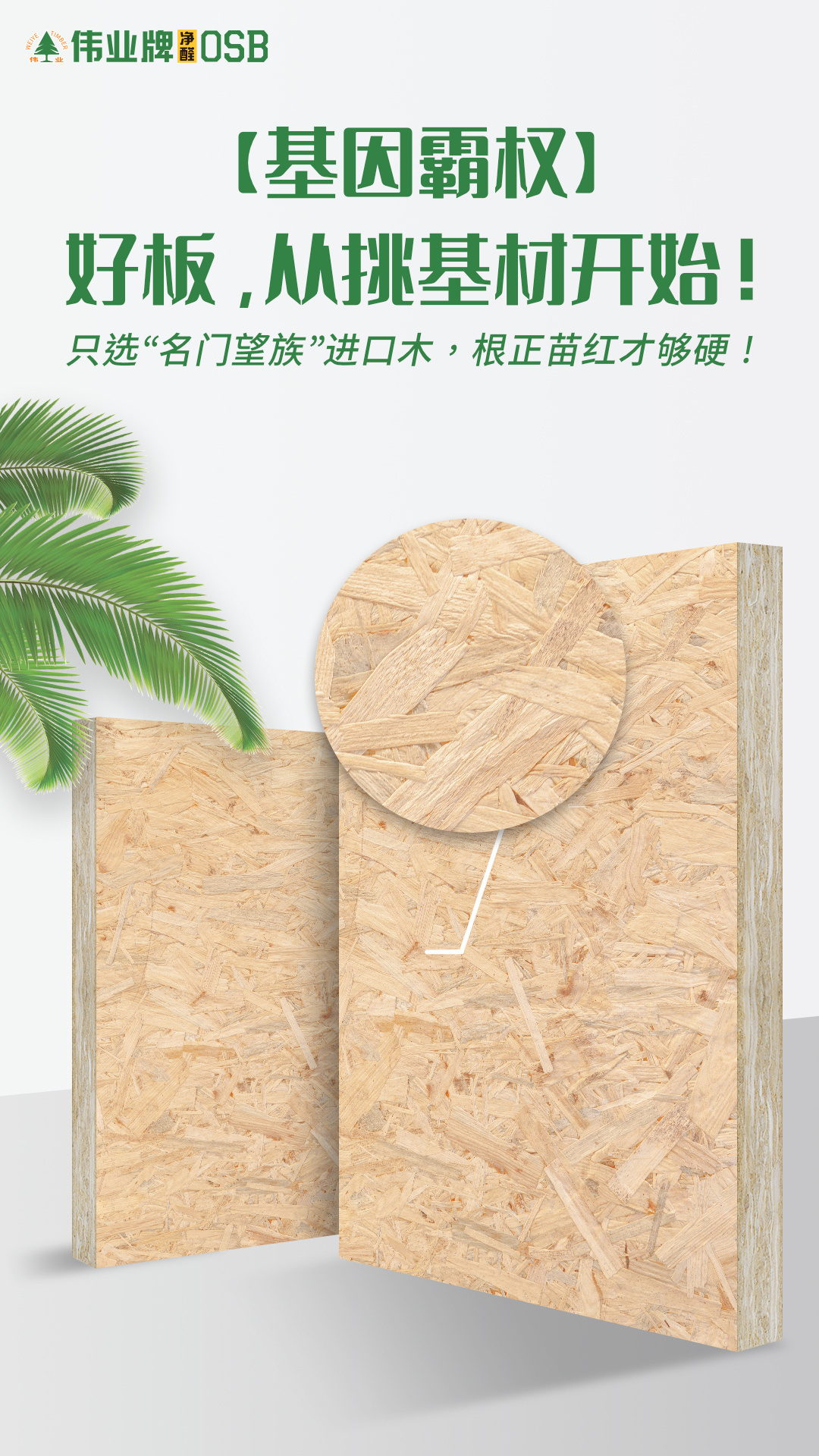 画板2.jpg