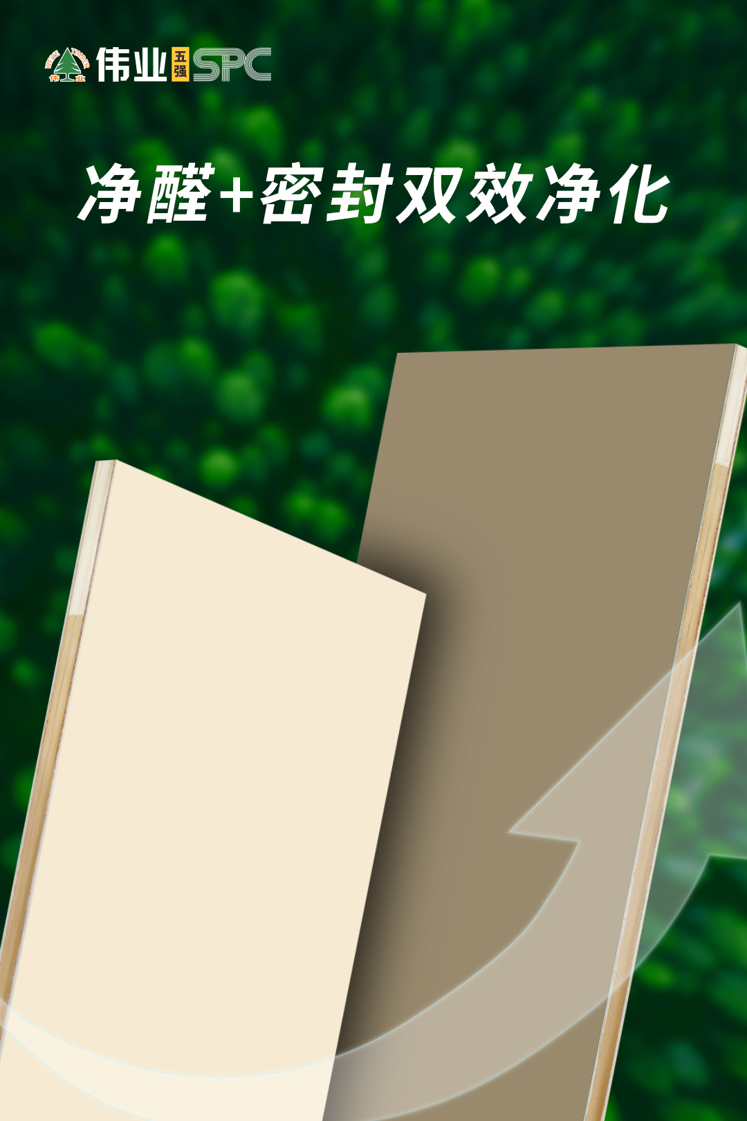 画板3.jpg