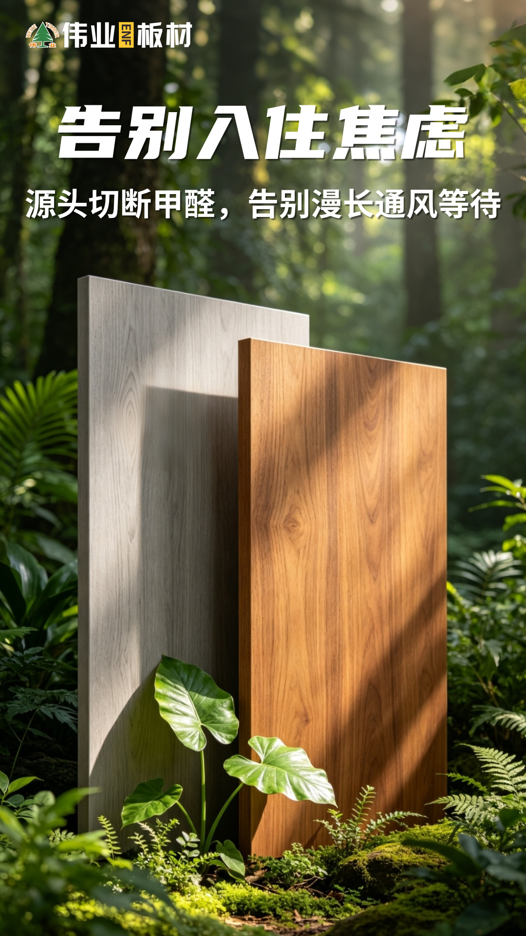 画板3.jpg