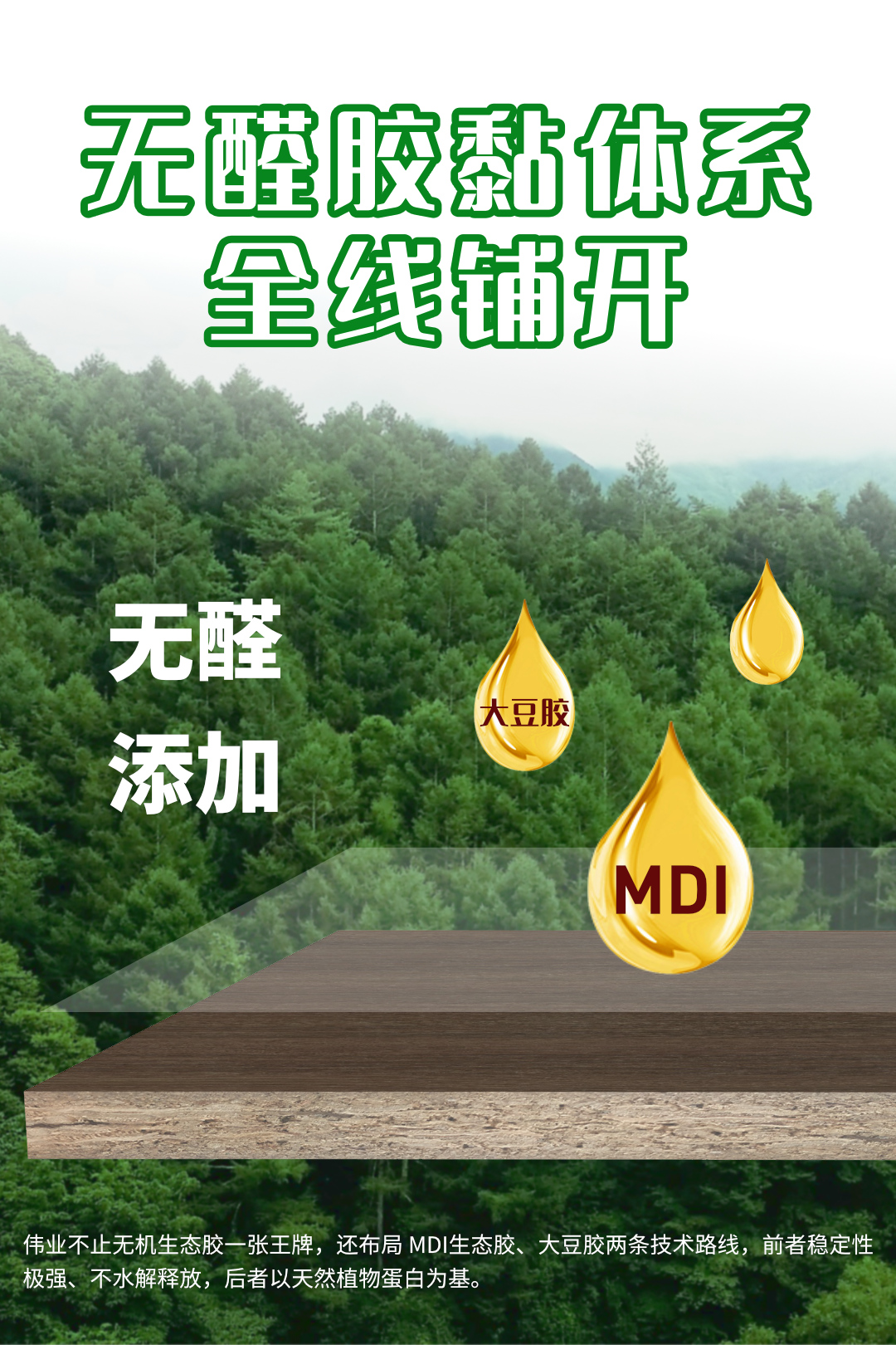 画板7.jpg