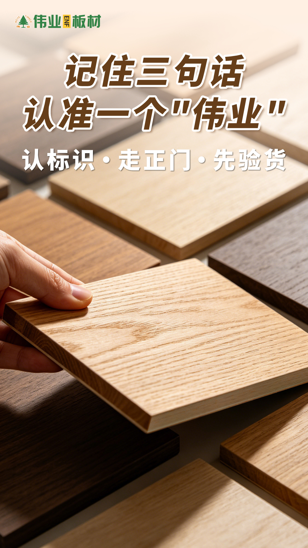 画板9.jpg